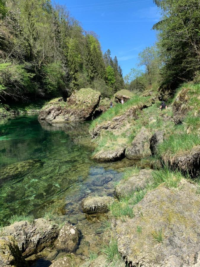 Ferienhaeuschen Am Traunsee Mit Tretboot Zur Freien Nutzung Am Badeplatz Altmuenster Bagian luar foto