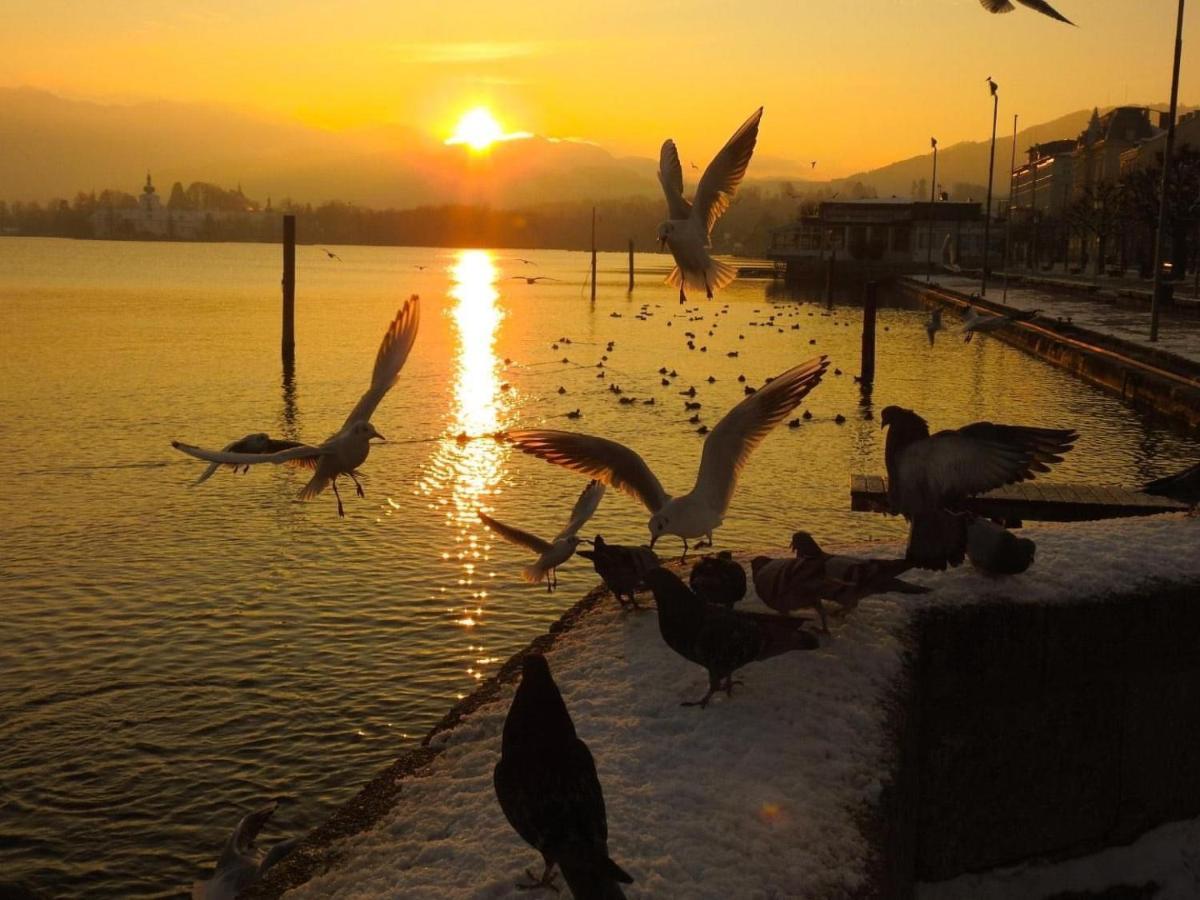 Ferienhaeuschen Am Traunsee Mit Tretboot Zur Freien Nutzung Am Badeplatz Altmuenster Bagian luar foto